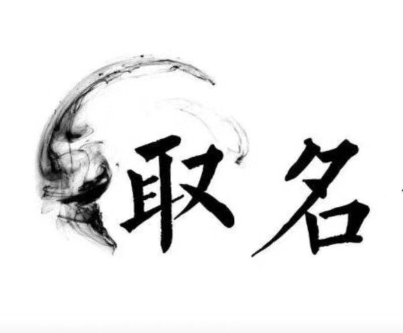  那坡宝宝取名 大师一对一人工起名